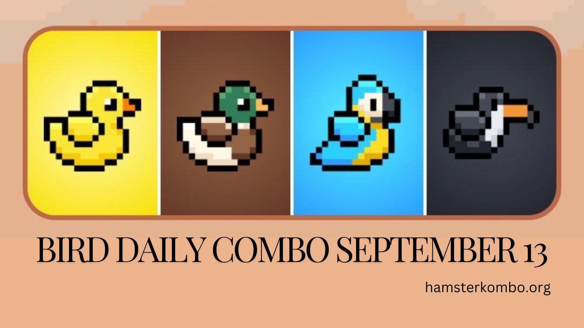 BIRD Daily Combo September 13