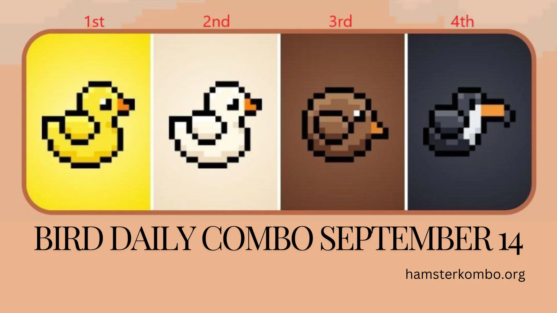 BIRD Daily Combo September 14