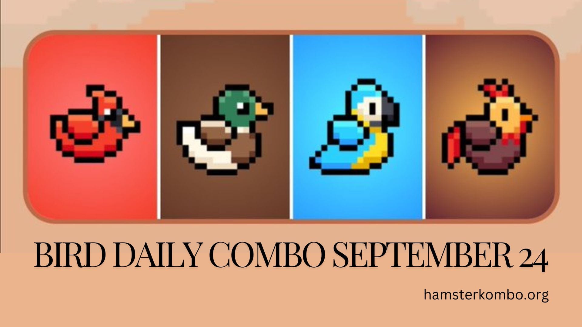 BIRD Daily Combo September 24