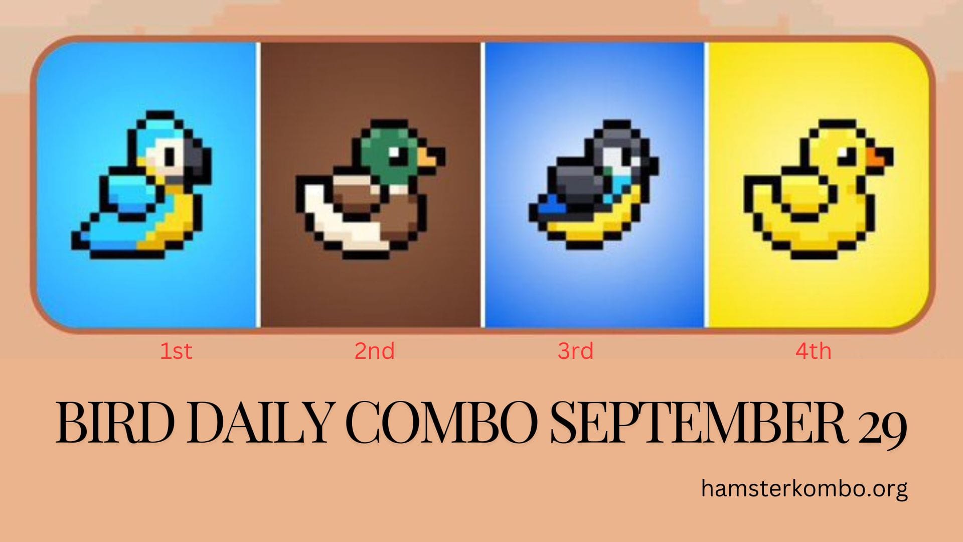 BIRD Daily Combo September 29