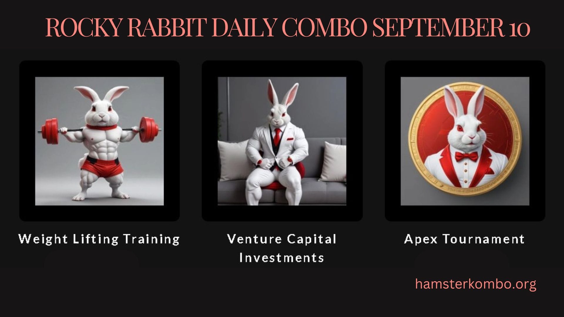 Rocky Rabbit Daily Combo September 10