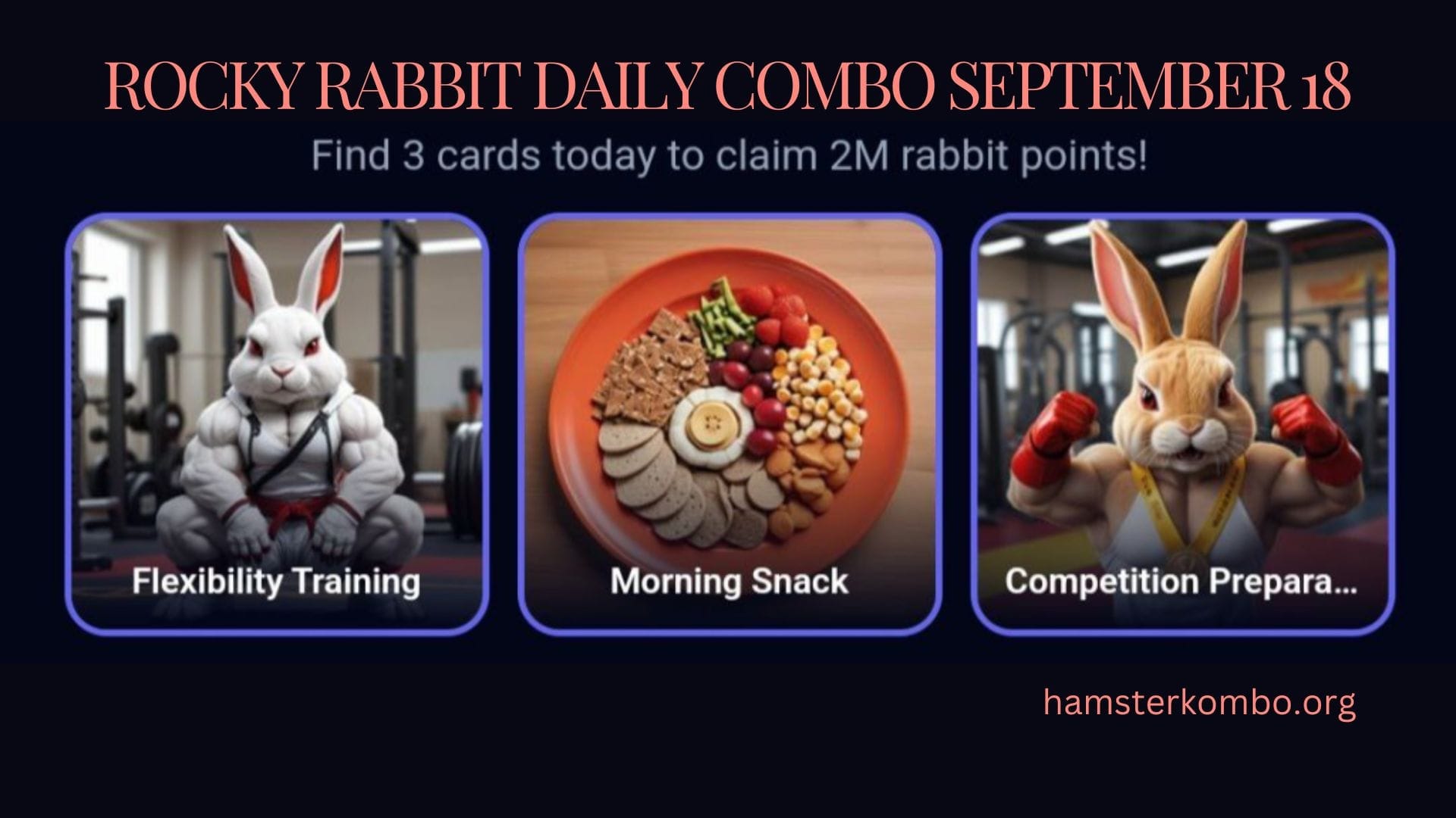 Rocky Rabbit Daily Combo September 18