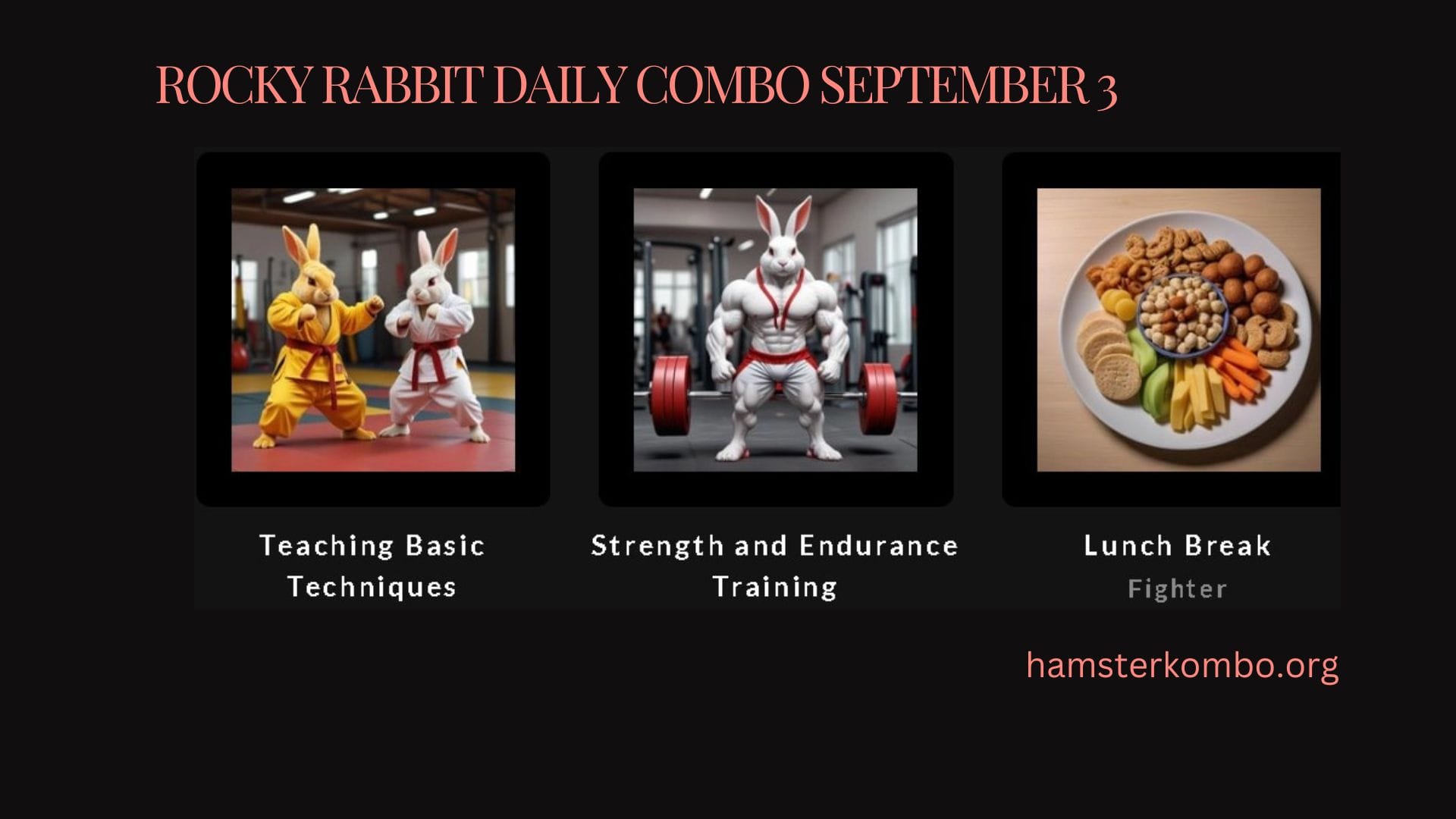 Rocky Rabbit Daily Combo September 3