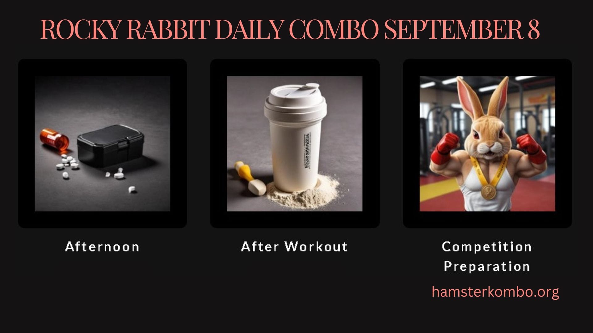 Rocky Rabbit Daily Combo September 8
