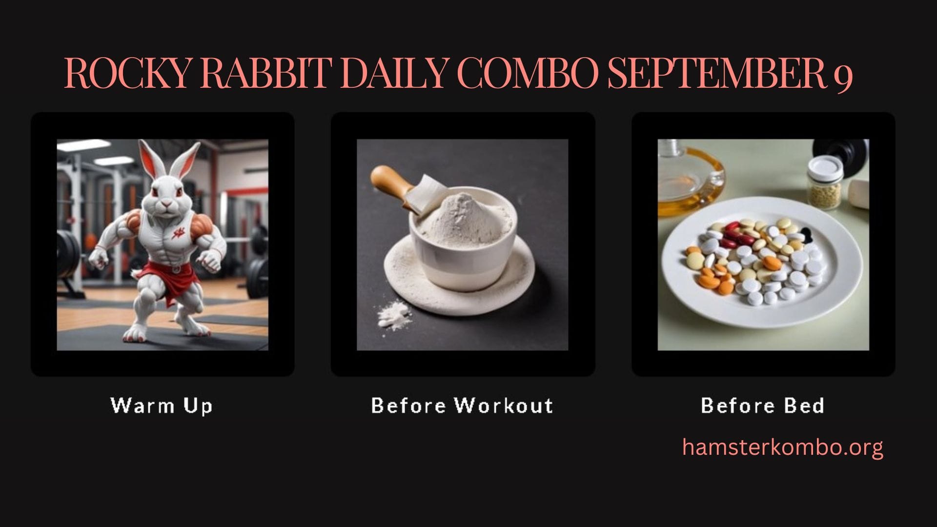 Rocky Rabbit Daily Combo September 9