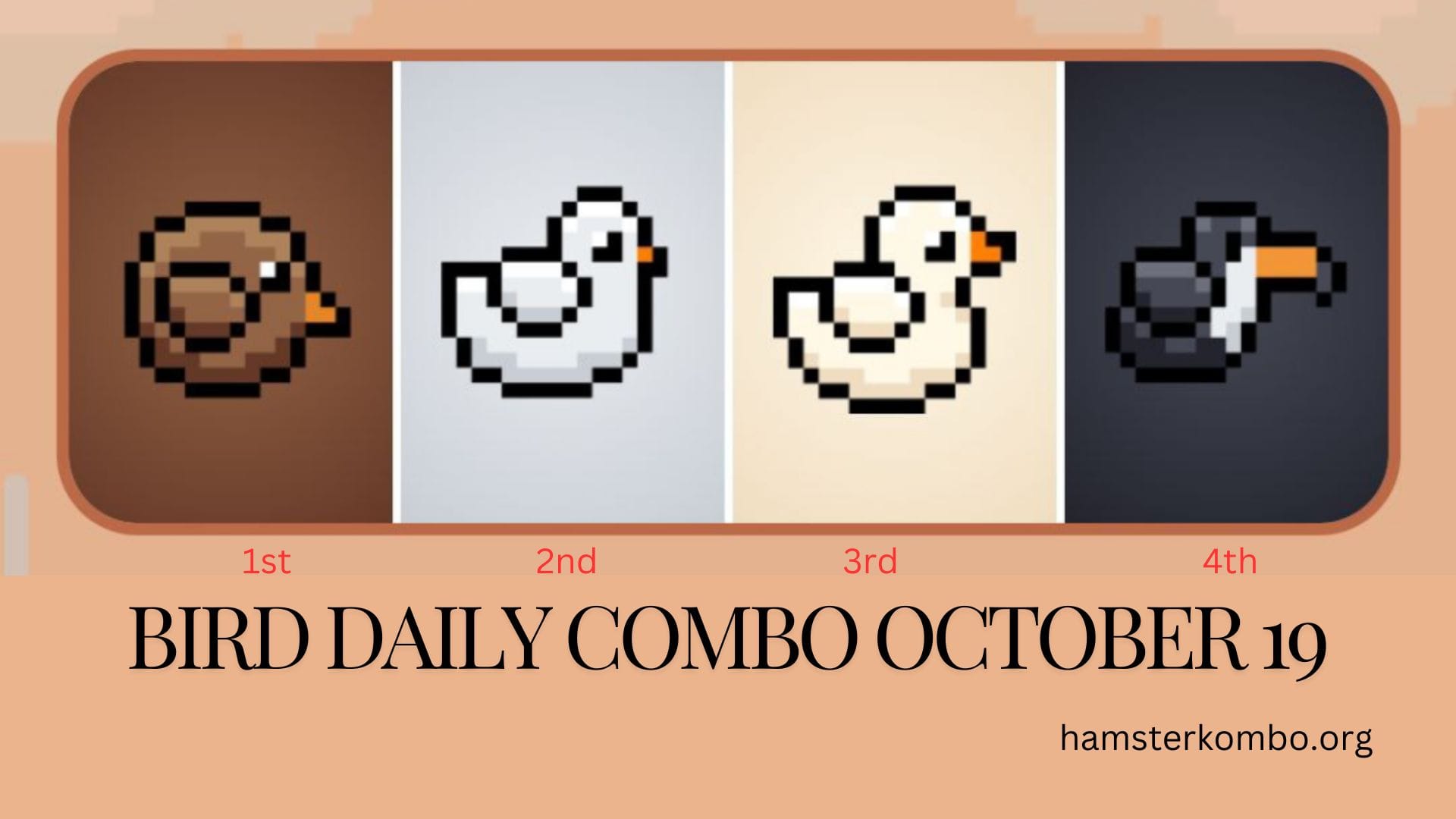 BIRD Daily Combo October 19