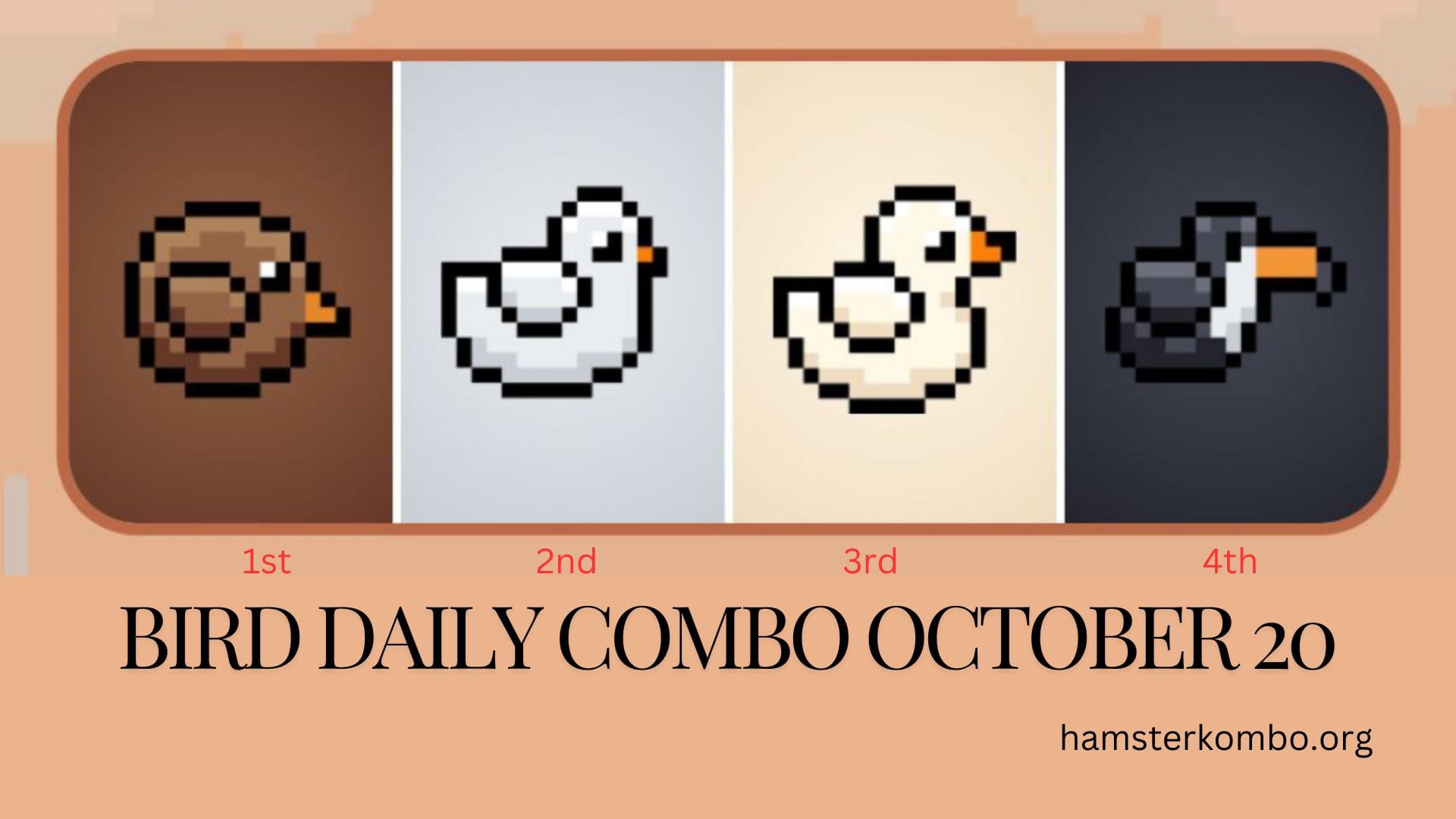BIRD Daily Combo October 20