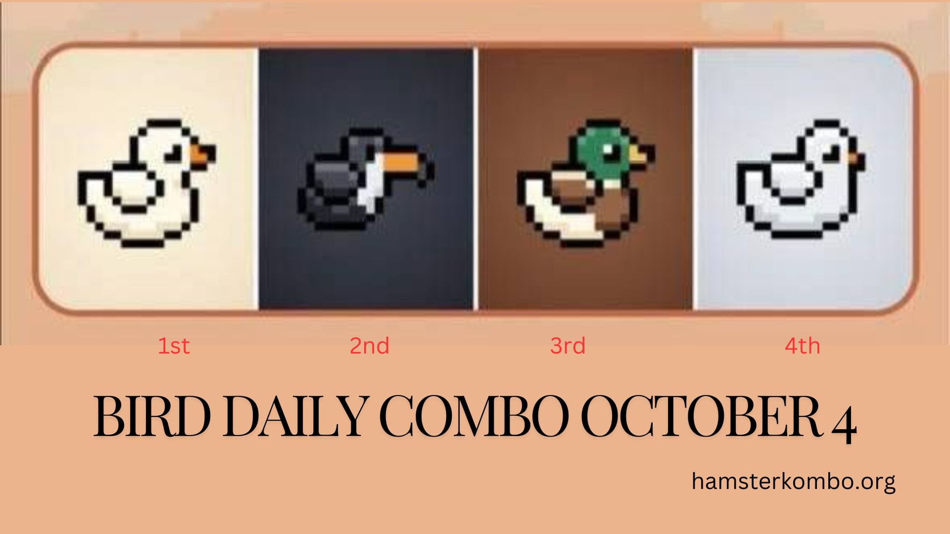 BIRD Daily Combo October 4