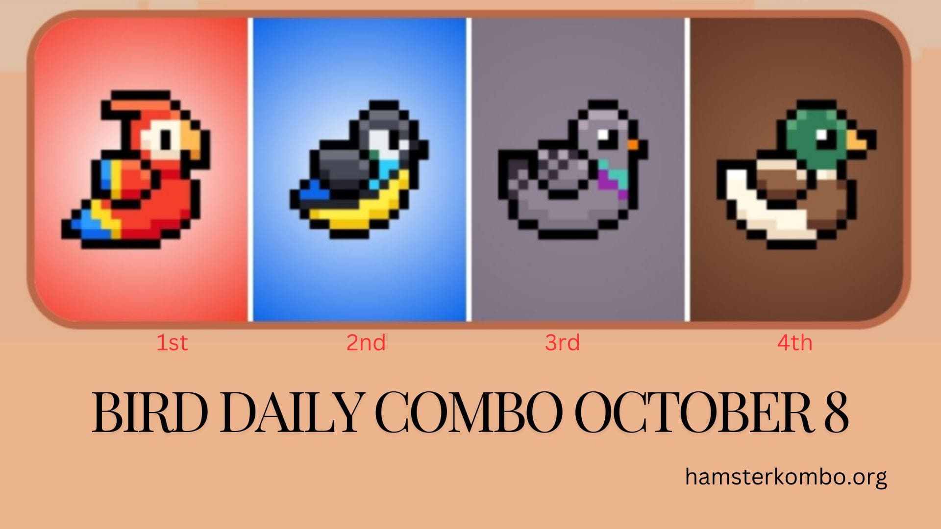 BIRD Daily Combo October 8