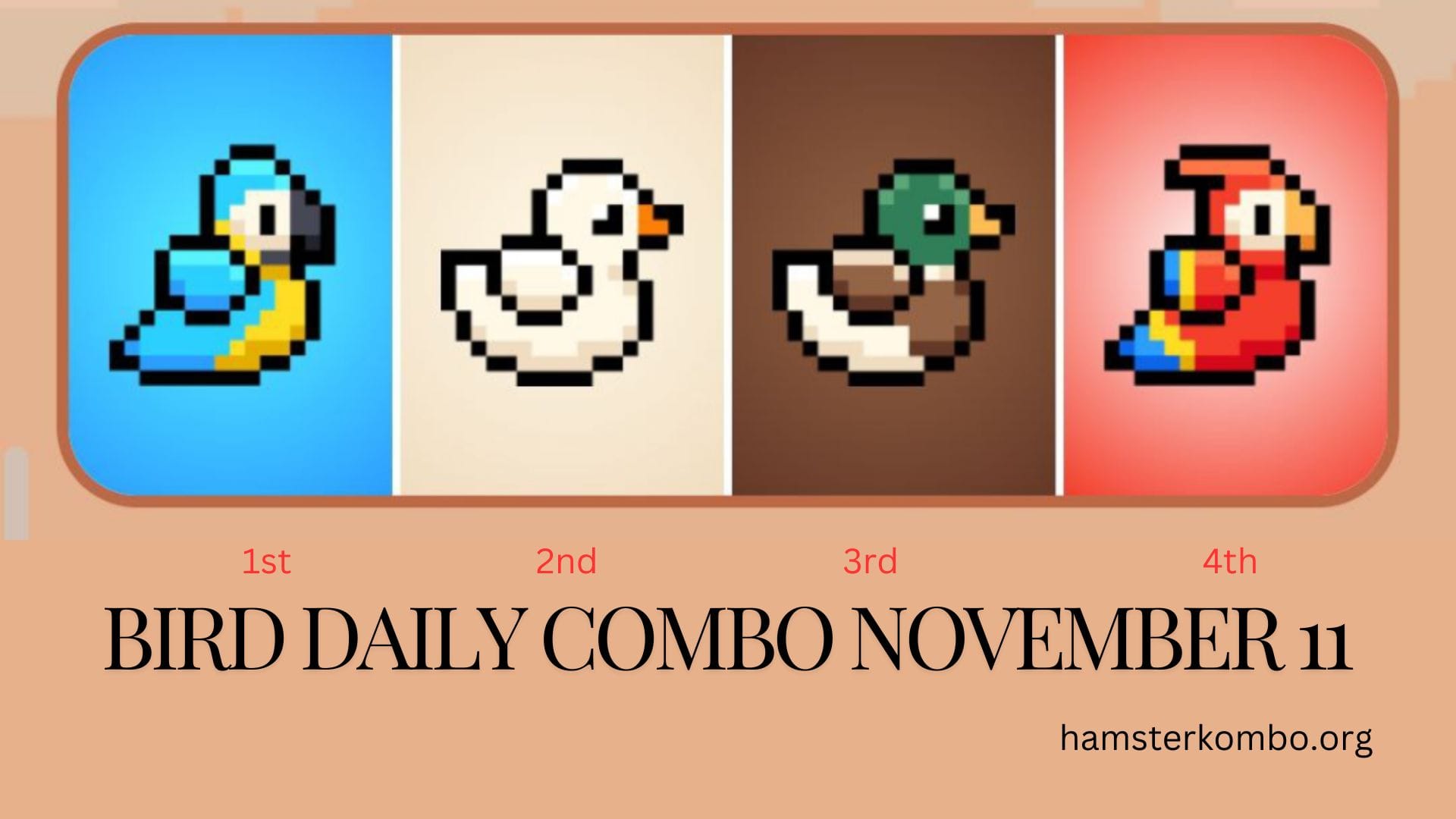 BIRD Daily Combo November 11