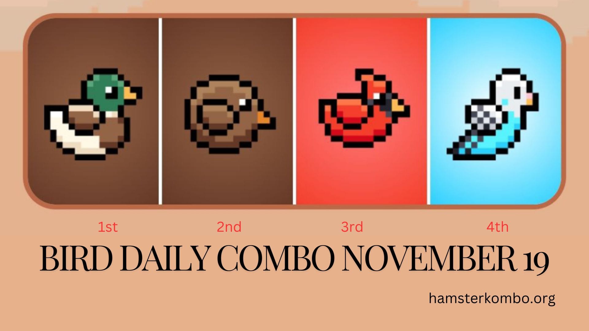 BIRD Daily Combo November 19