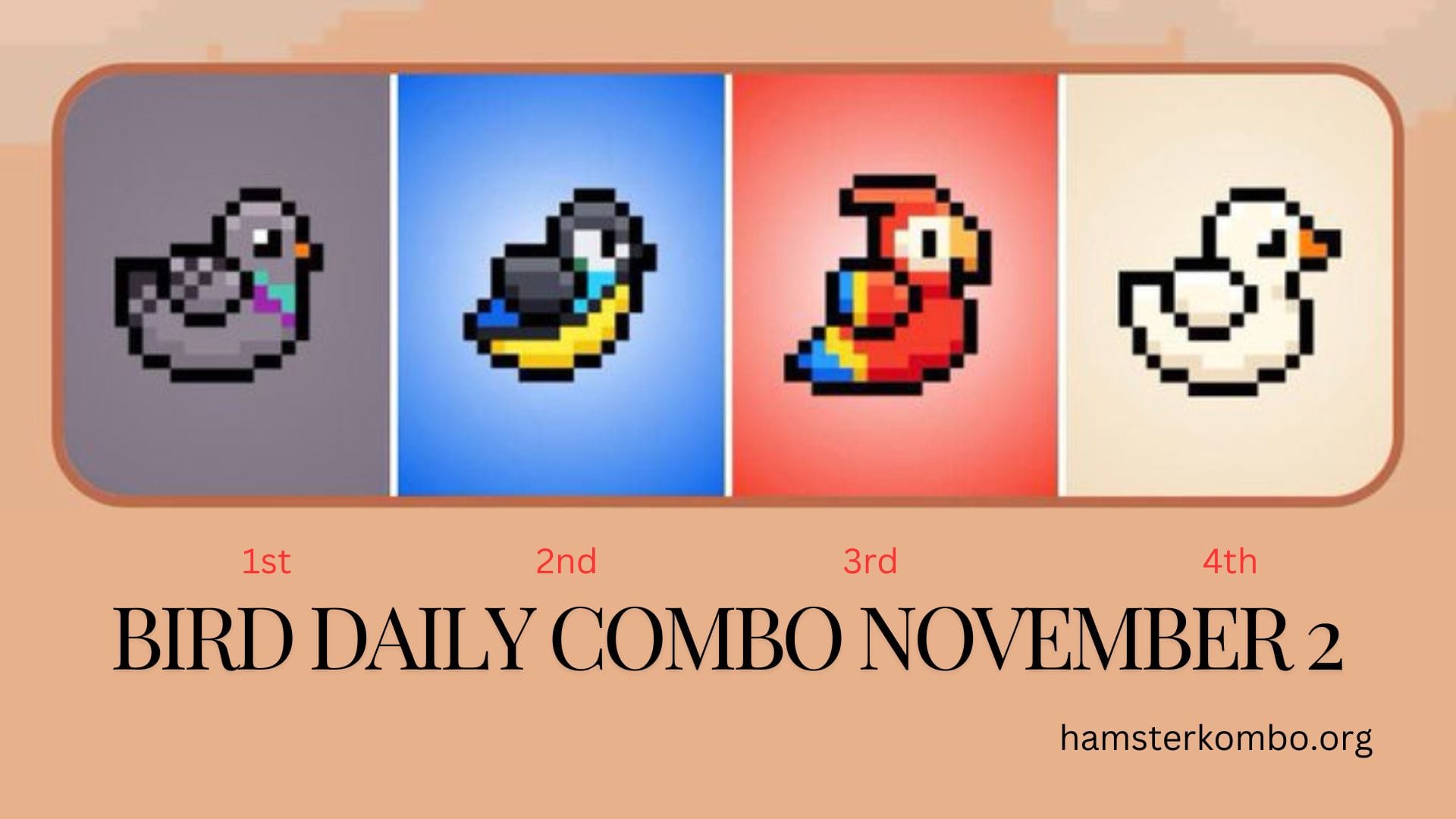 BIRD Daily Combo November 2