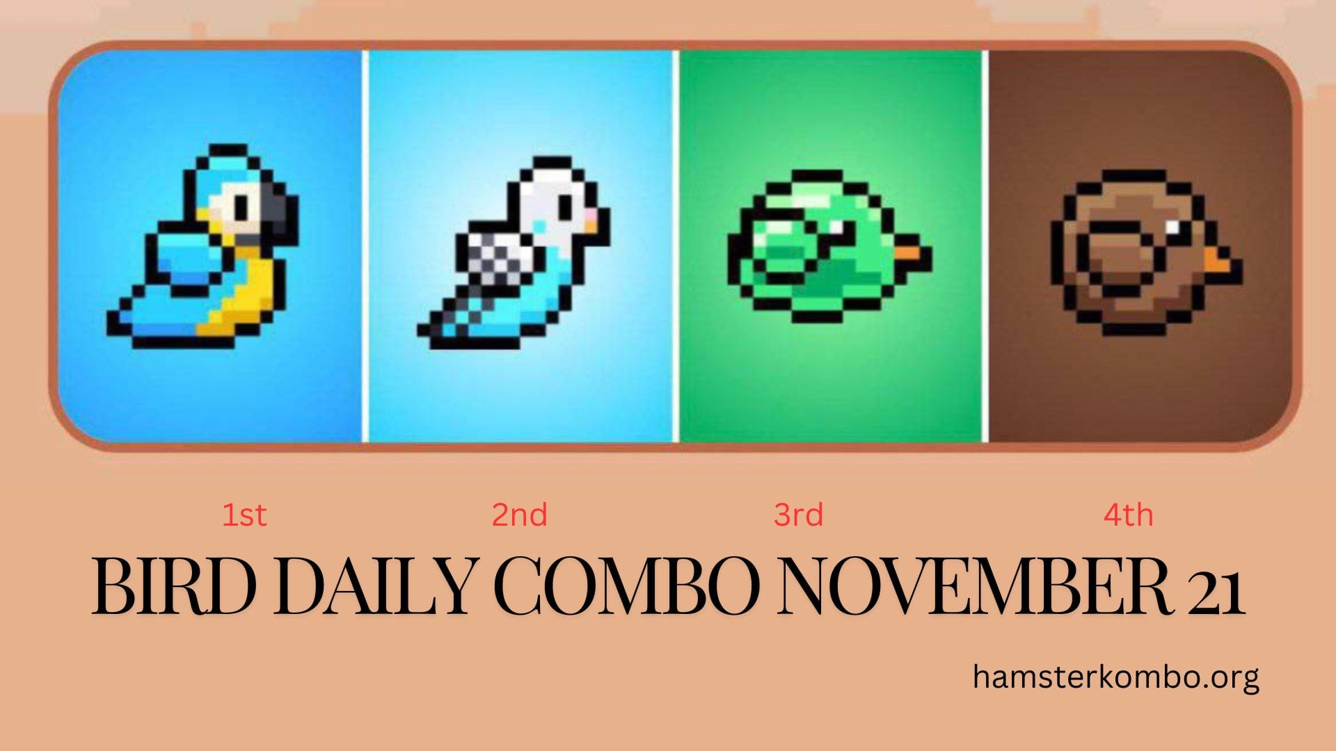 BIRD Daily Combo November 21
