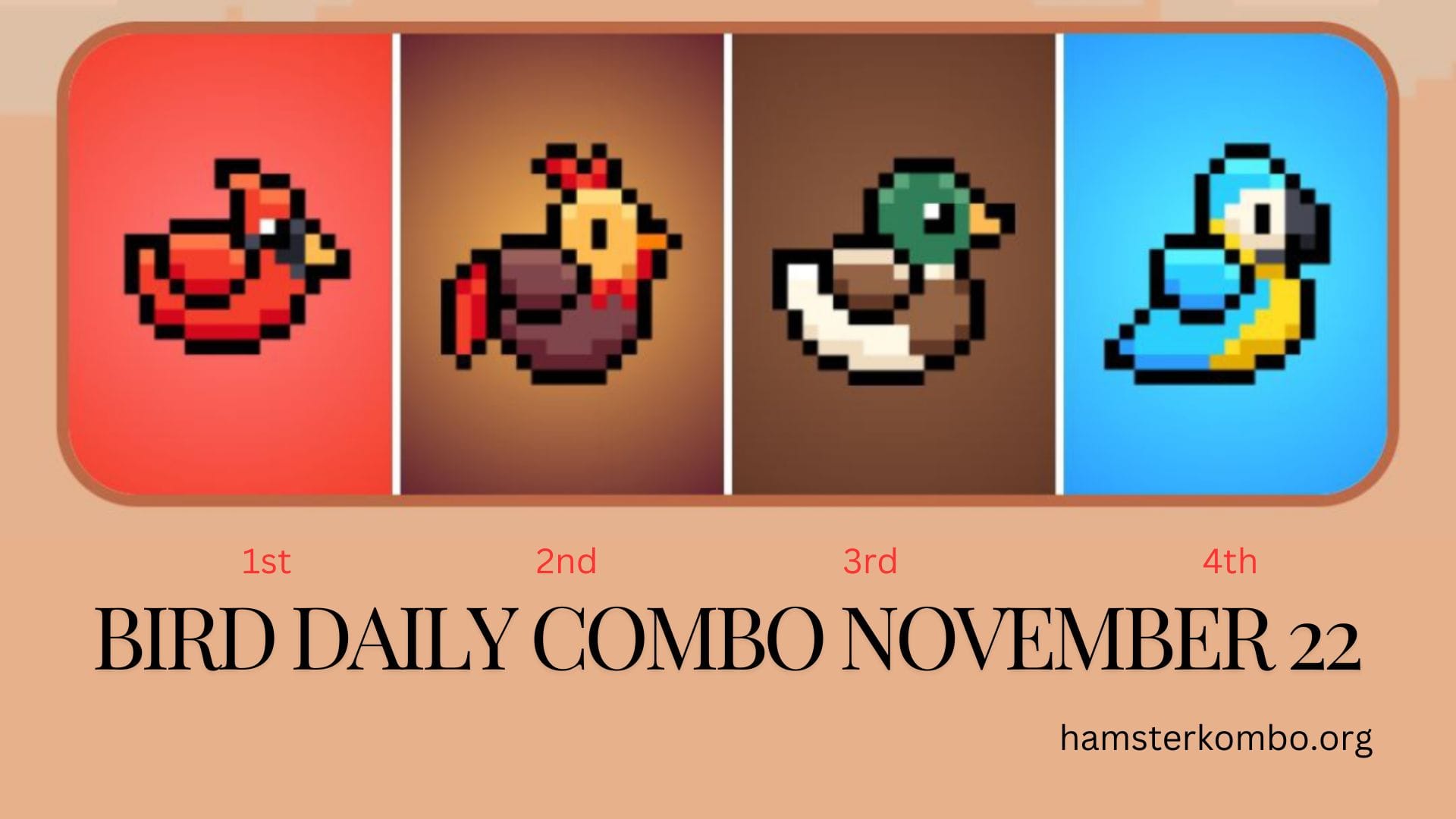 BIRD Daily Combo November 22