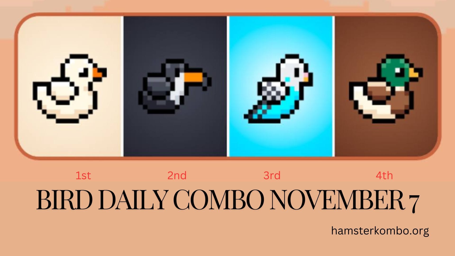BIRD Daily Combo November 7
